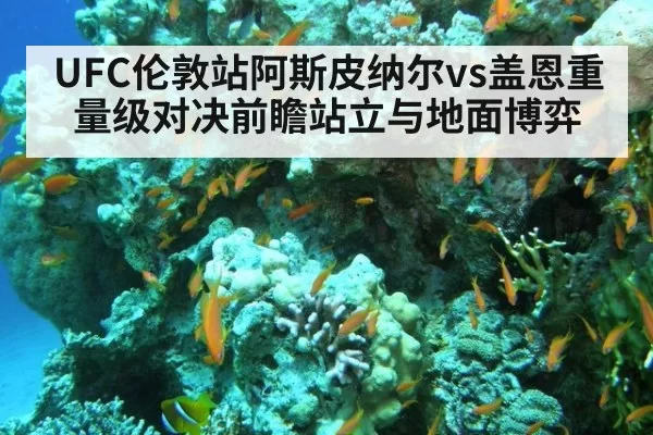 UFC伦敦站阿斯皮纳尔vs盖恩重量级对决前瞻站立与地面博弈