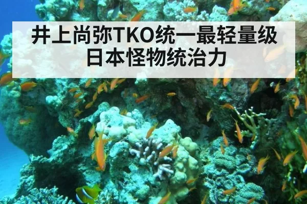 井上尚弥TKO统一最轻量级 日本怪物统治力